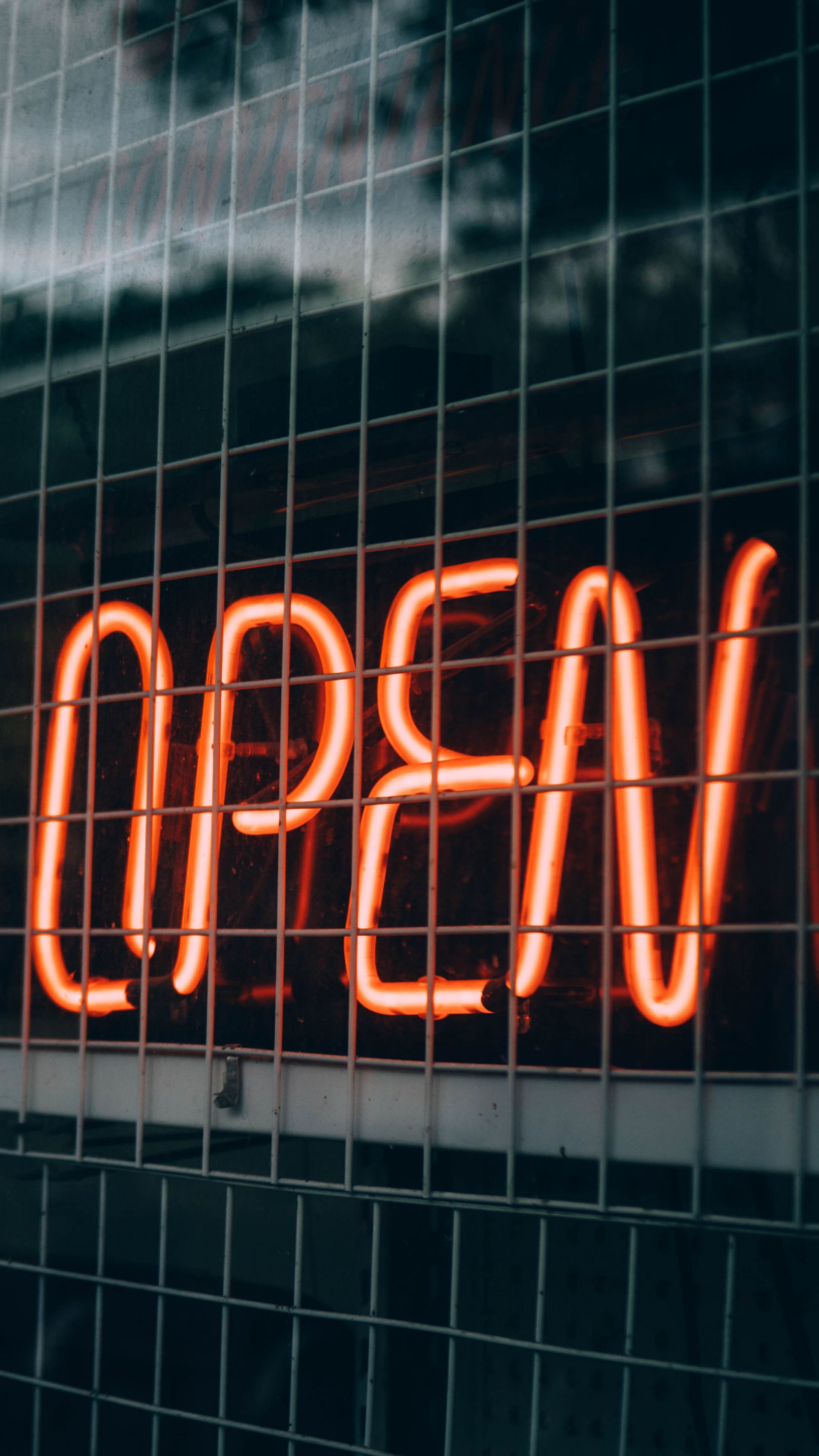 冷静的｜纵向显示｜氖