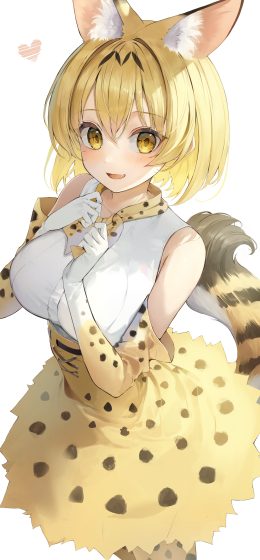 动漫女孩｜薮猫朋友｜兽朋友