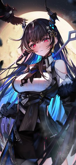 全息直播｜全息英语｜虚拟YouTuber