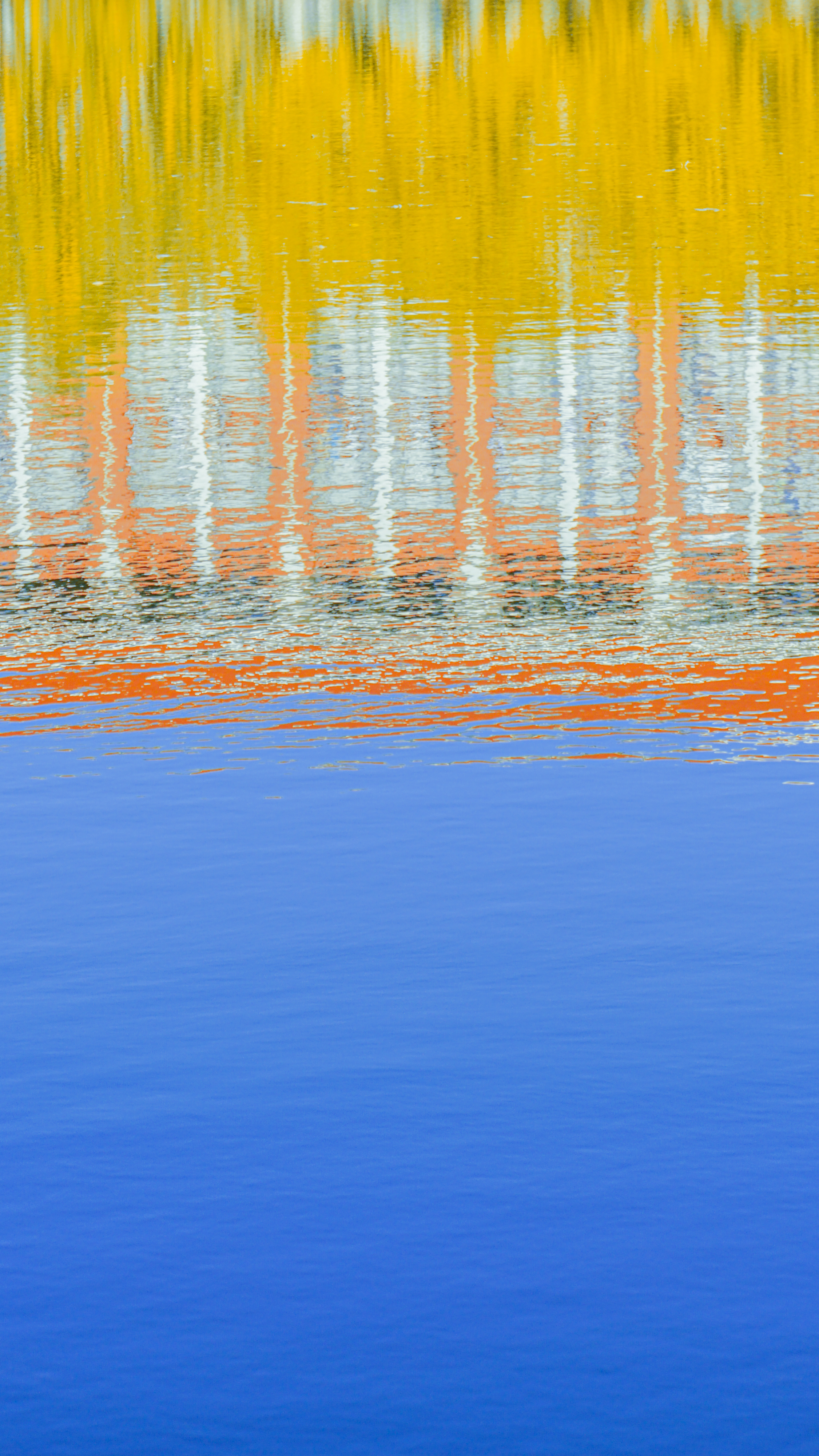 自然｜纵向显示｜水