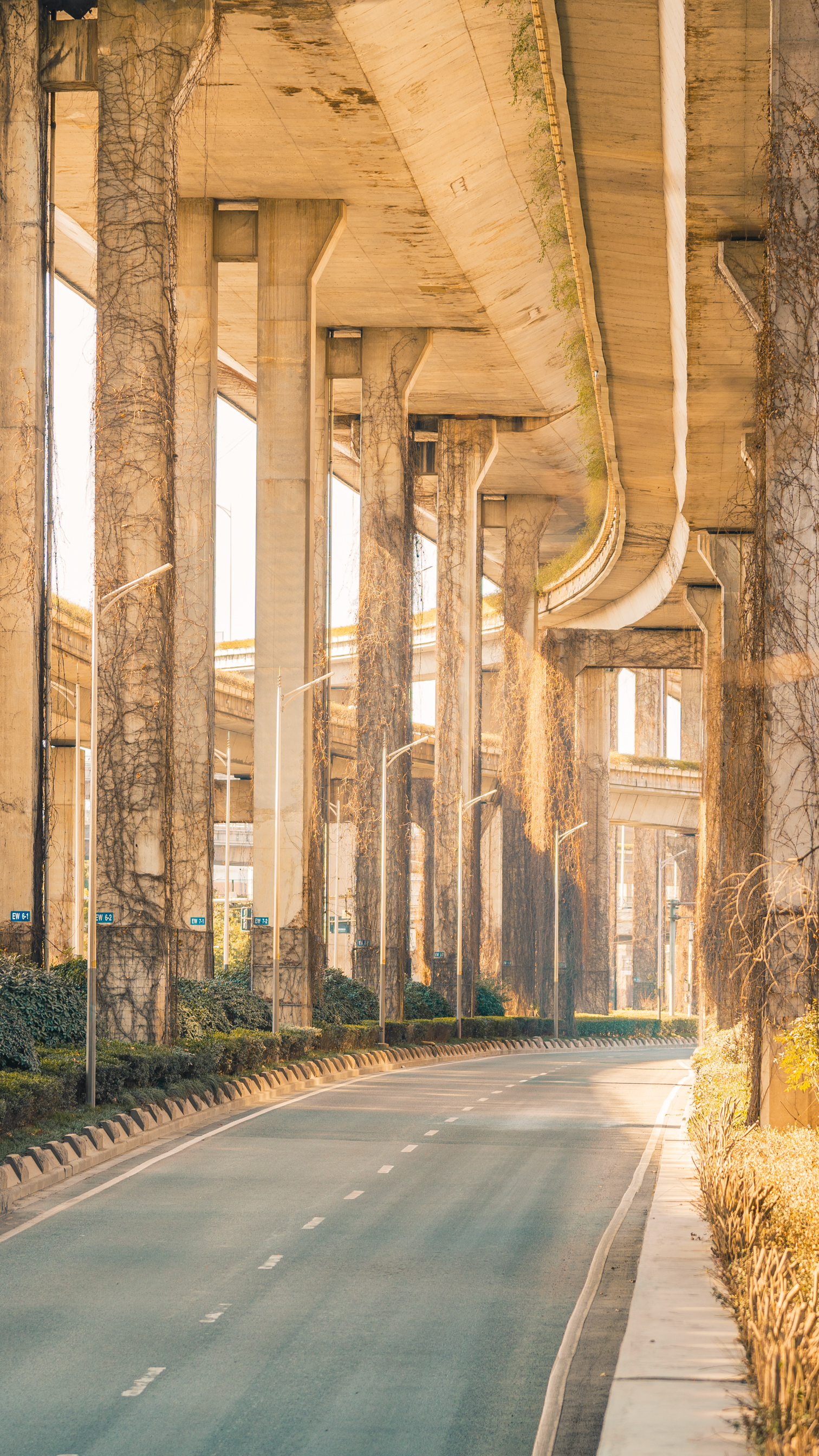 城市｜中国｜南京