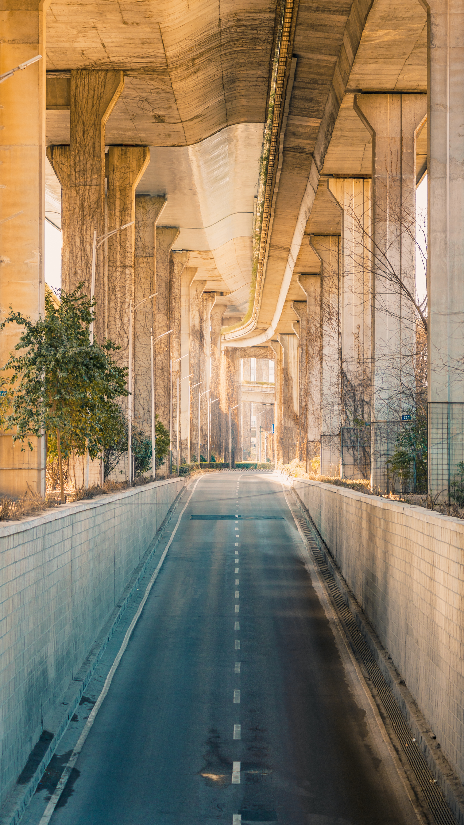 城市｜南京｜摄影