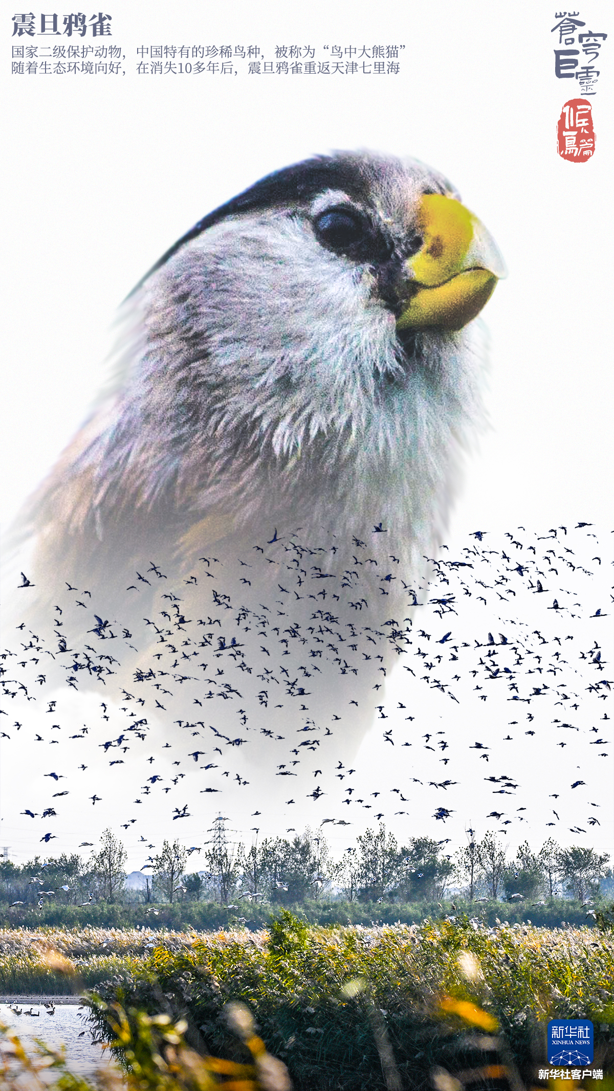 自然｜动物｜野生动物