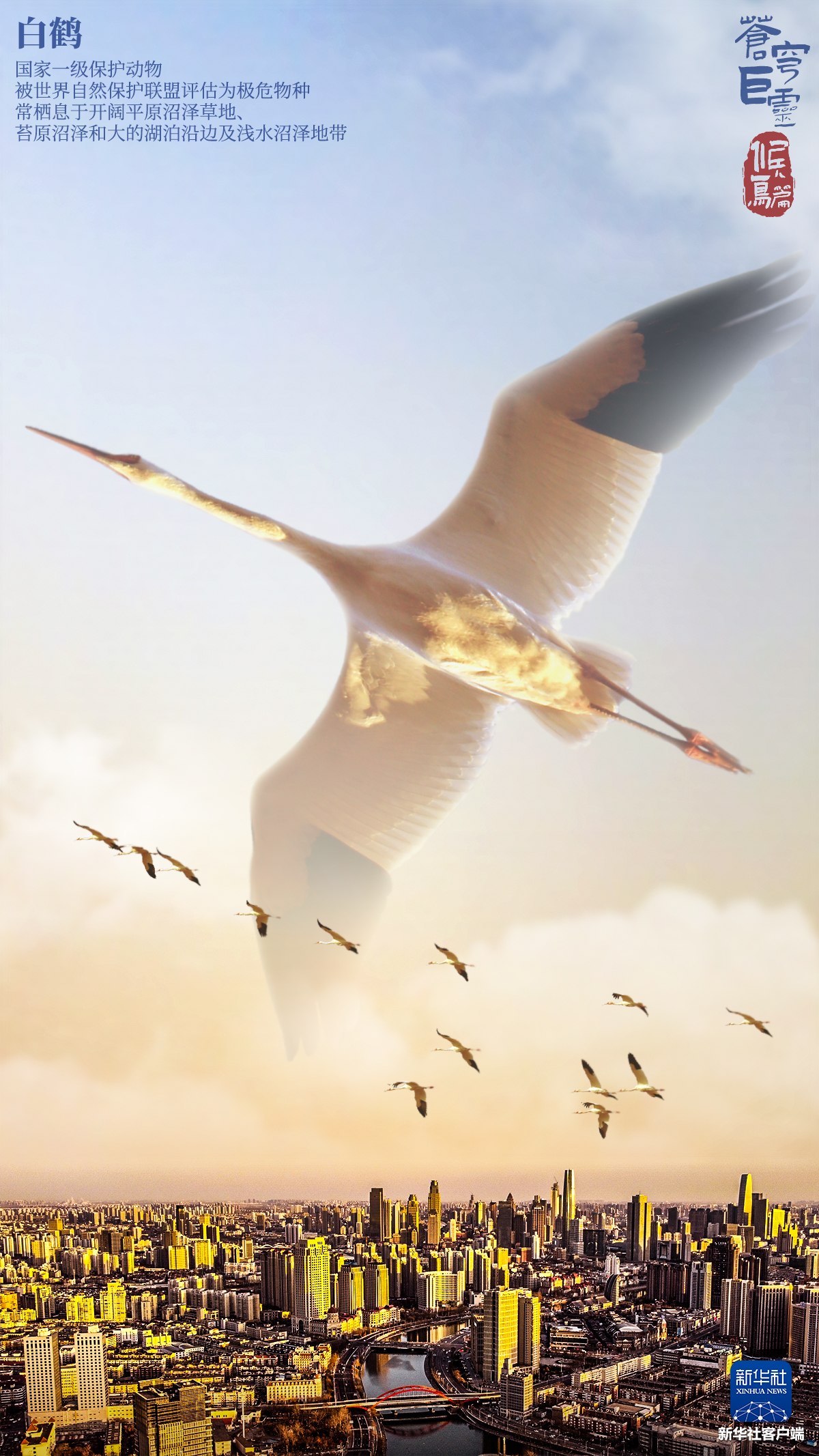 动物｜野生动物｜自然