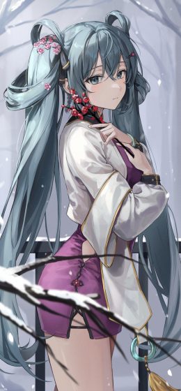 长头发｜动漫女孩｜纵向显示