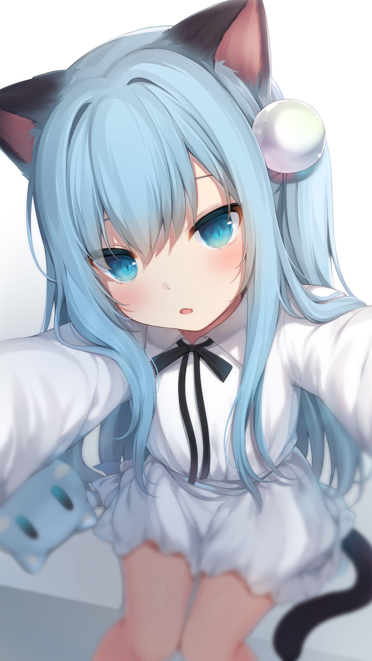 动漫女孩｜猫女孩｜蓝眼睛