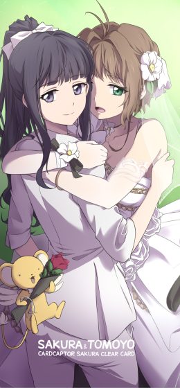 魔卡少女樱｜黑发｜老夫子大半书