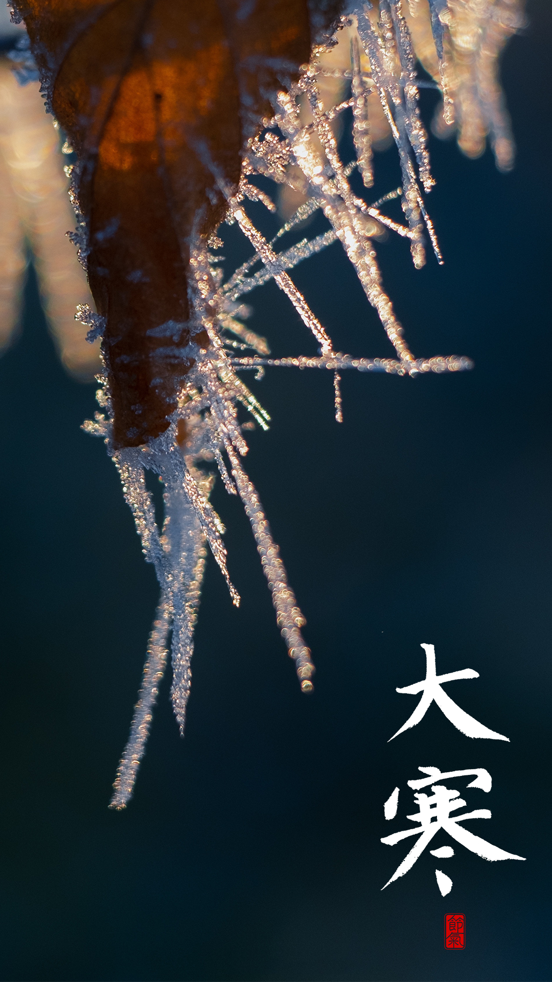 自然｜霜｜纵向显示