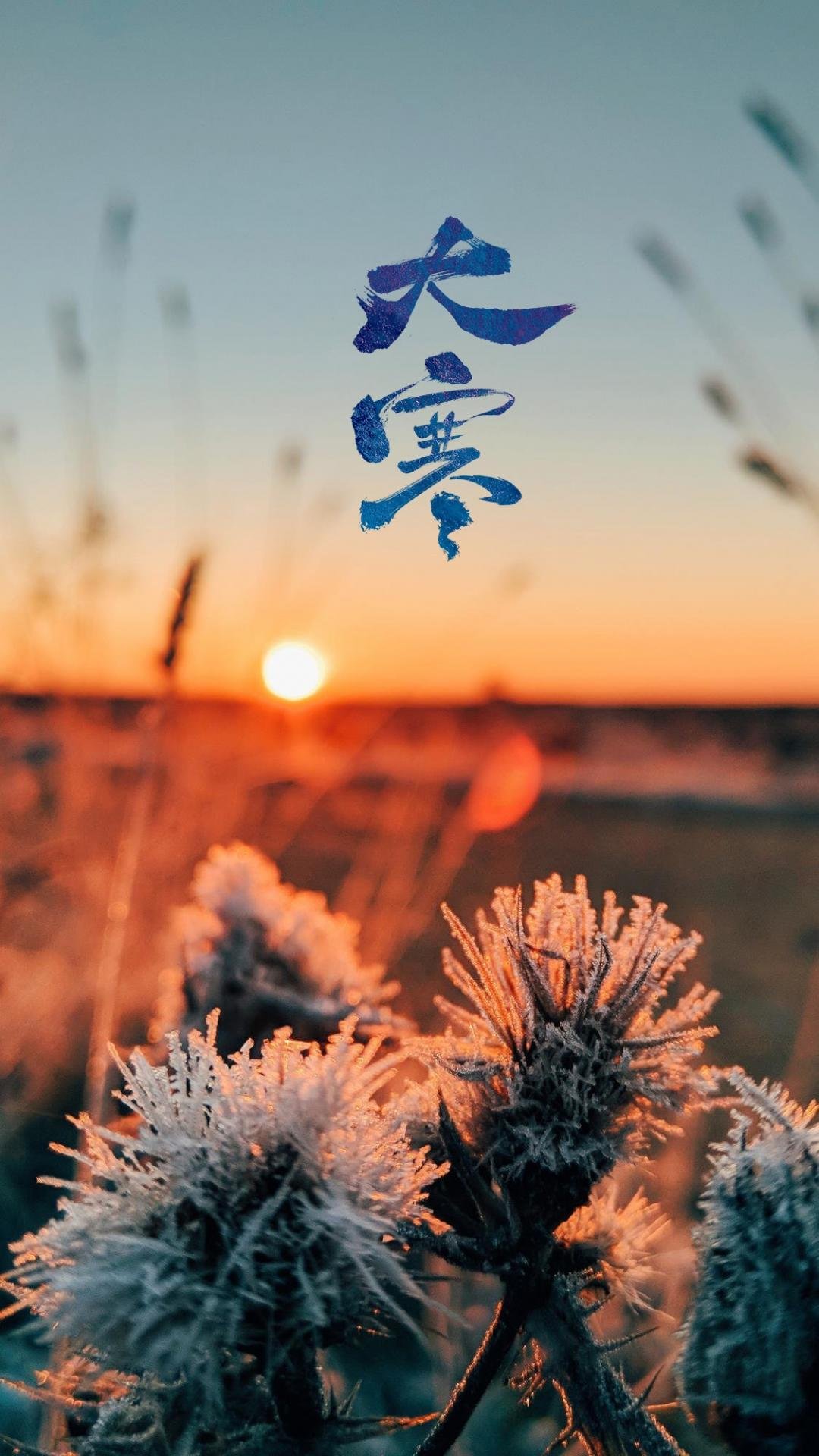 日落｜纵向显示｜季节