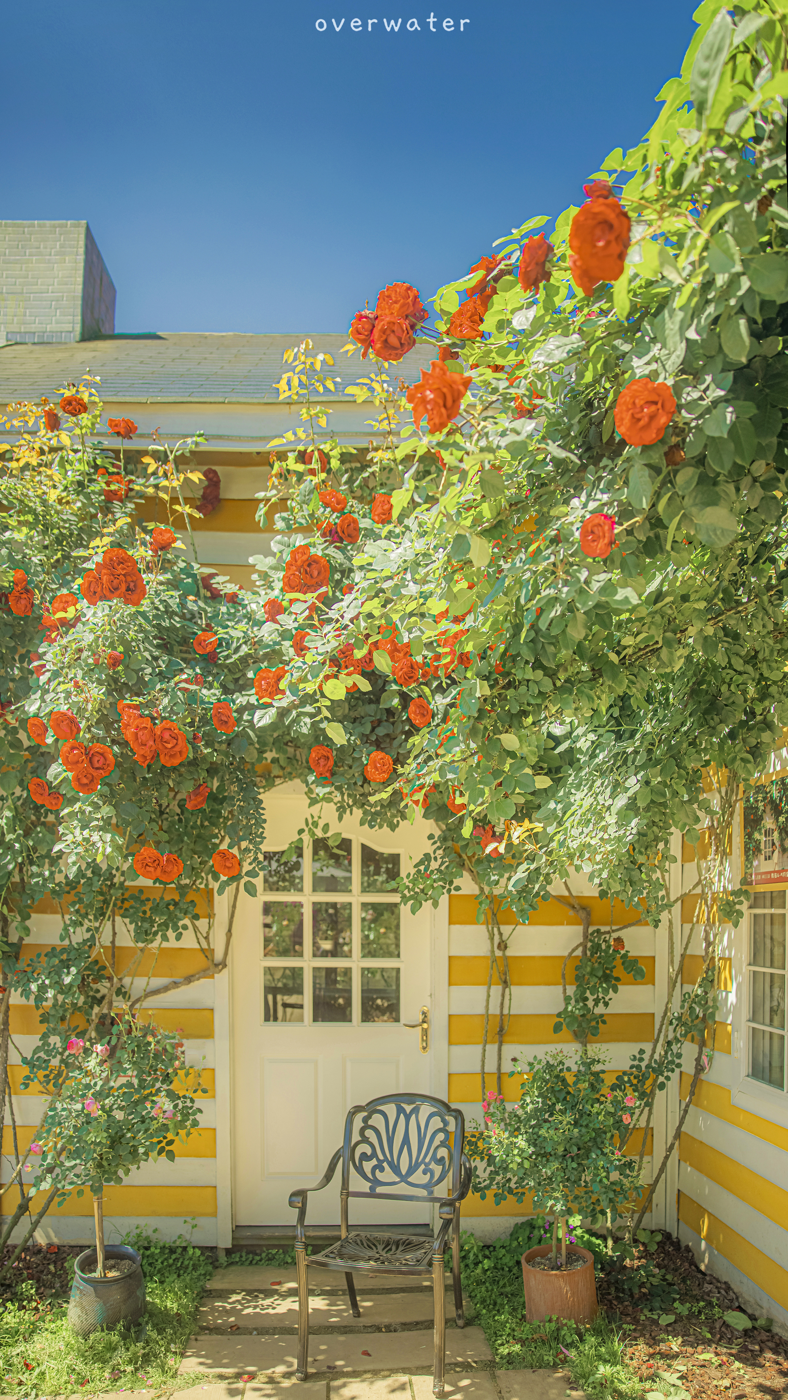 风景｜建筑｜动漫