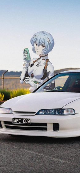 绫波丽｜本田集成｜动漫