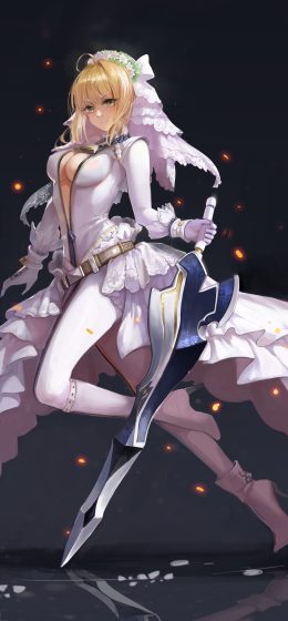 命运大秩序｜动漫｜命运系列