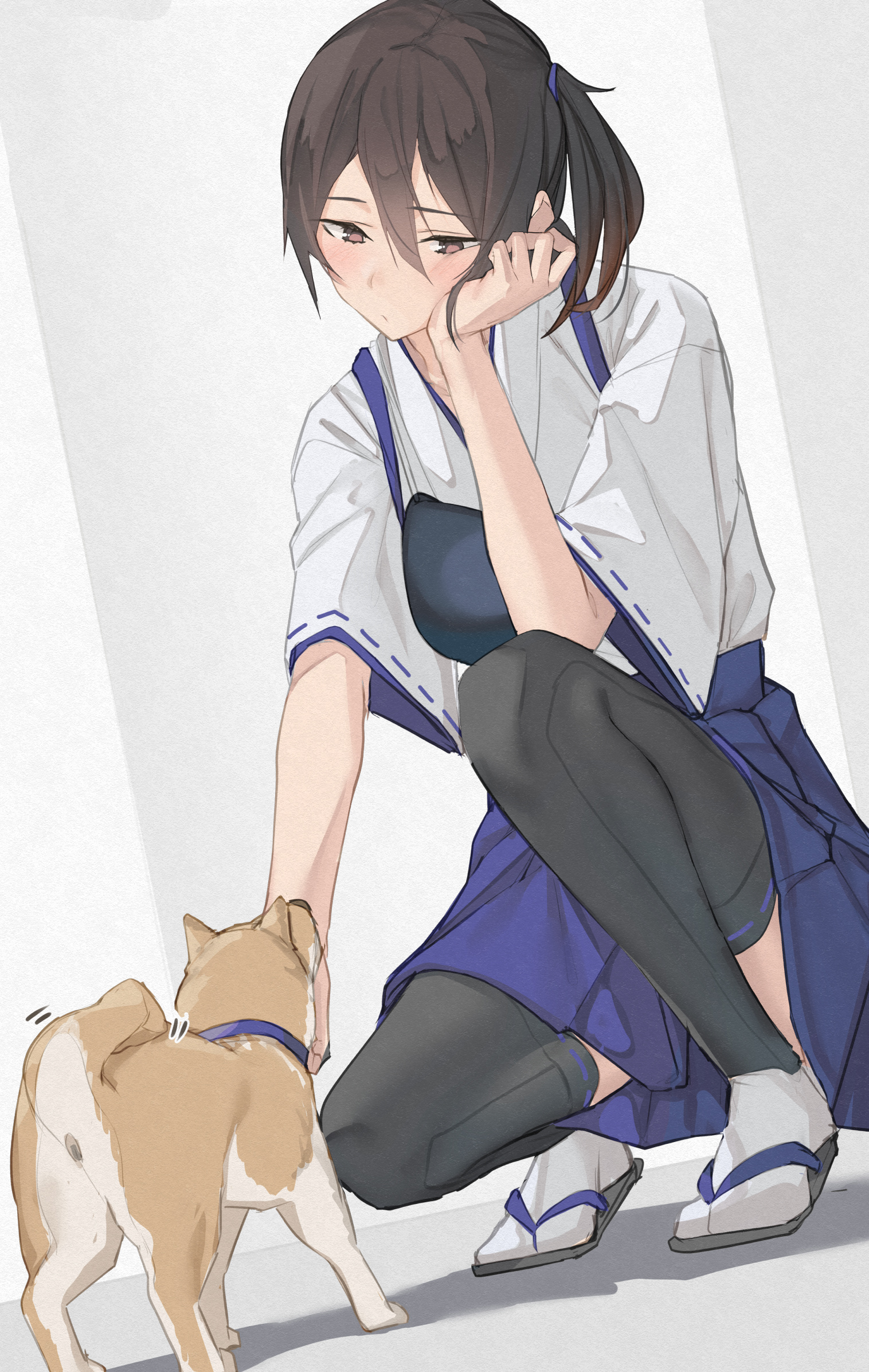 舰队集合｜加贺康科莱｜动漫女孩