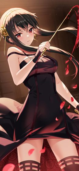 间谍x家族｜动漫｜动漫女孩