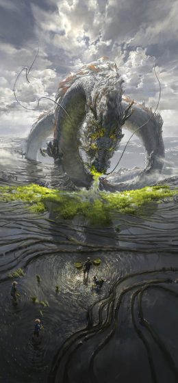 稻田｜农民｜中国龙