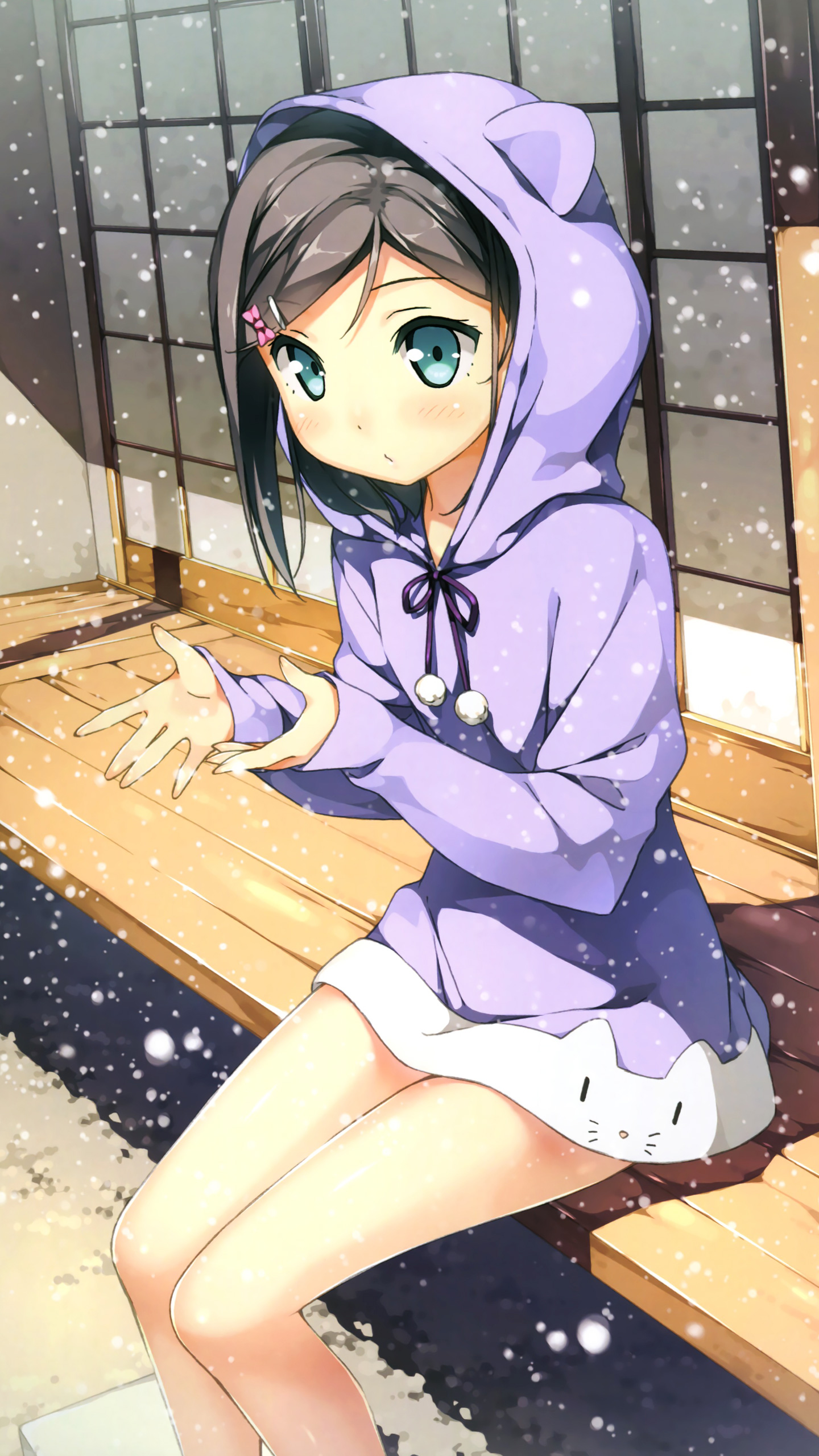 筒隐月子｜无尽王子对娃娃内猫｜关德