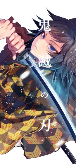 鬼灭之刃｜动漫｜艺术品