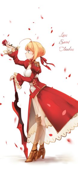 命运额外｜命运系列｜动漫