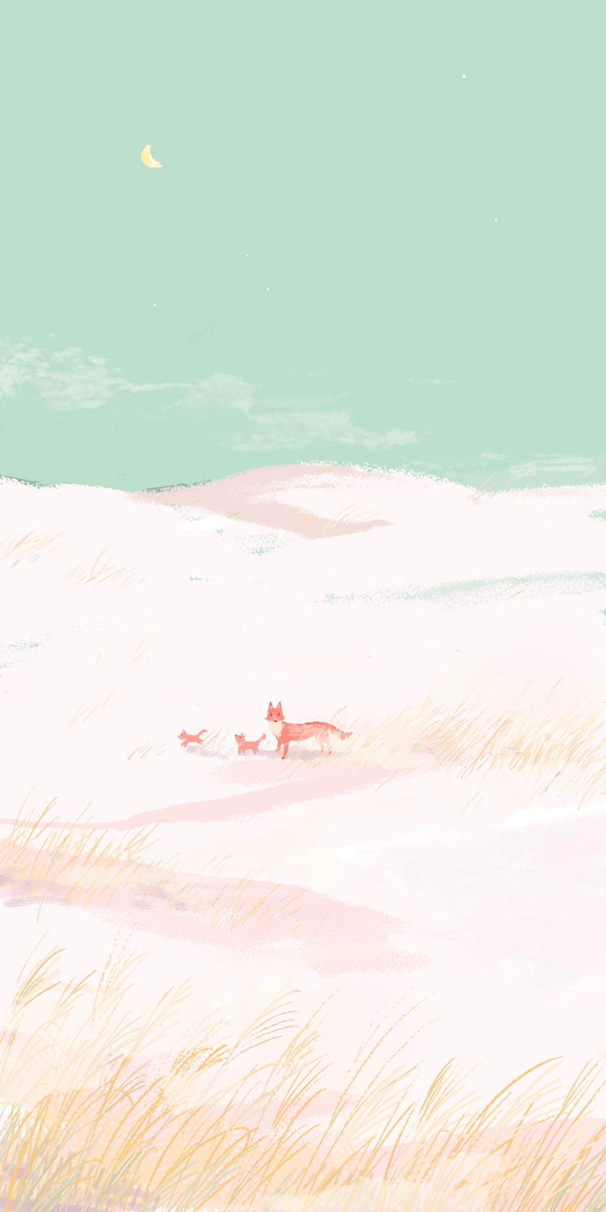 动物｜艺术品｜哺乳动物