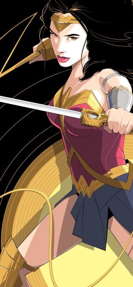 双持｜剑｜神奇女侠