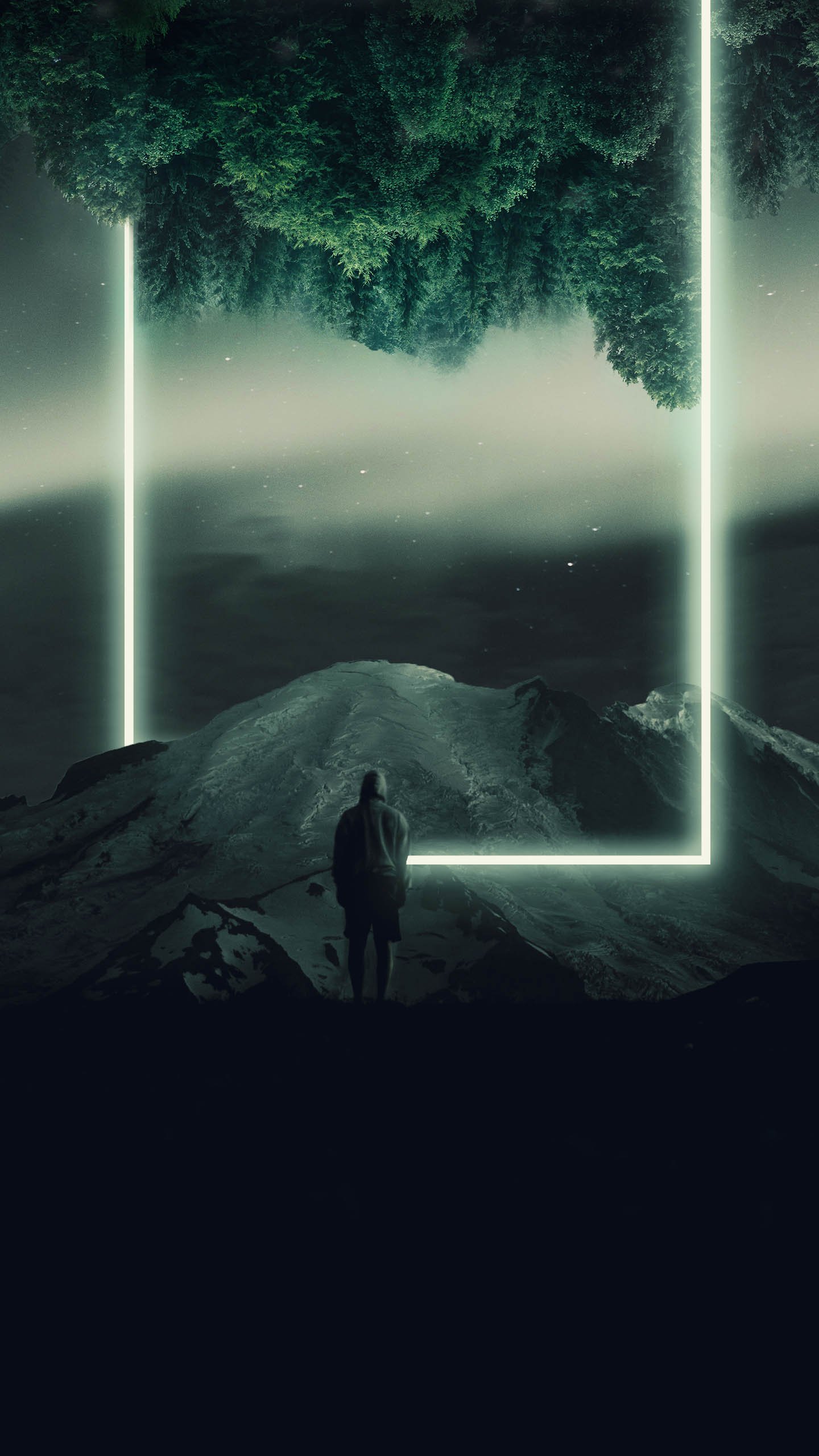 数字艺术｜树｜风景