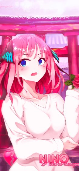 粉红色的头发｜蓝眼睛｜中野二乃