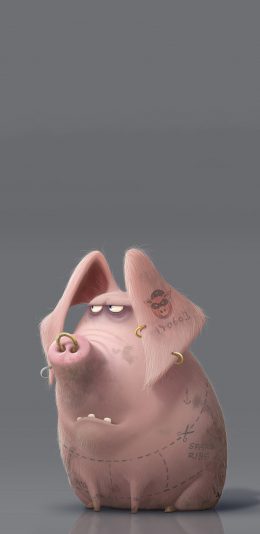 [2436x1125]3D猪猪 卡通 立体 纹身 苹果手机动漫壁纸图片