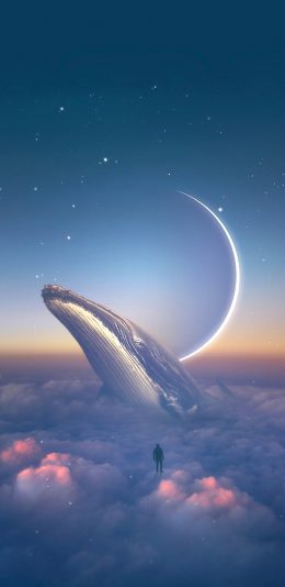 [2436x1125]Kush Graphic插图 鲸鱼 星空 梦幻 苹果手机动漫壁纸图片