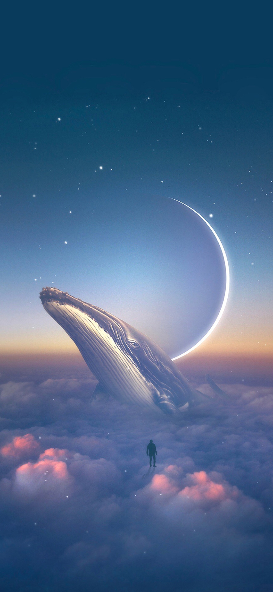 [2436×1125]Kush Graphic插图 鲸鱼 星空 梦幻 苹果手机动漫壁纸图片