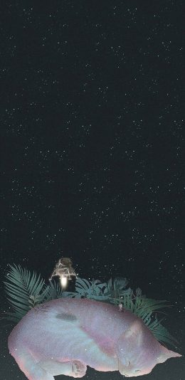 [2436x1125]LOOKANDRAW 插画 猫咪 星空 苹果手机动漫壁纸图片