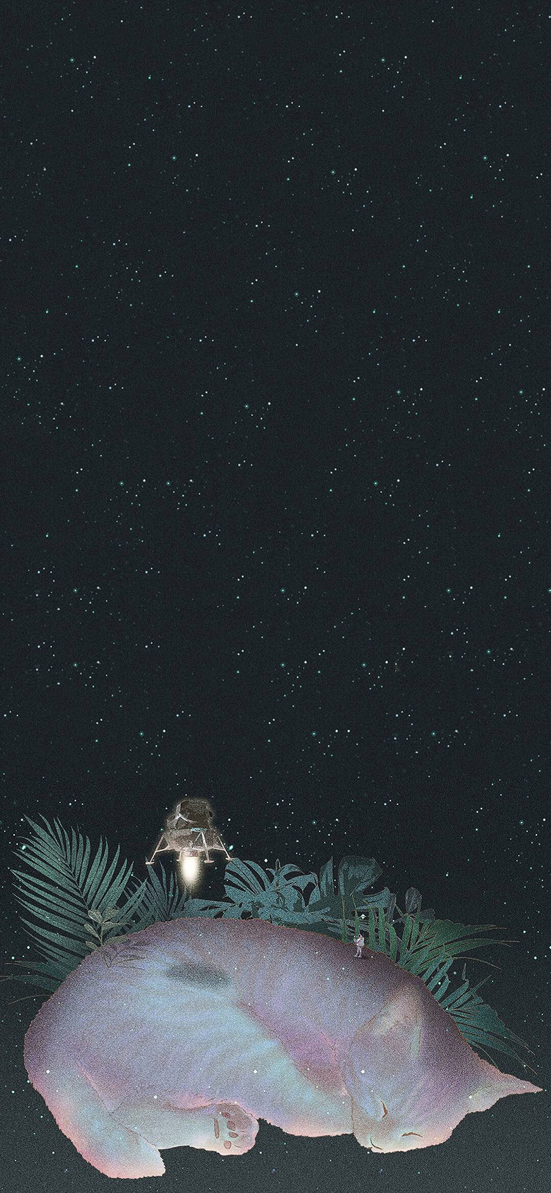 [2436×1125]LOOKANDRAW 插画 猫咪 星空 苹果手机动漫壁纸图片