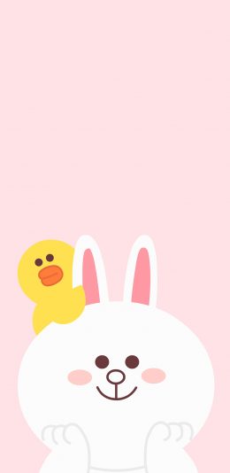 [2436x1125]line 卡通 可妮兔 萨莉鸡 可爱 粉色 苹果手机动漫壁纸图片