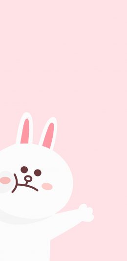 [2436x1125]line 可爱 卡通 可妮兔 粉色 苹果手机动漫壁纸图片