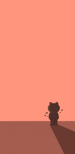 [2436x1125]line 布朗熊 背影 卡通 动漫 苹果手机动漫壁纸图片