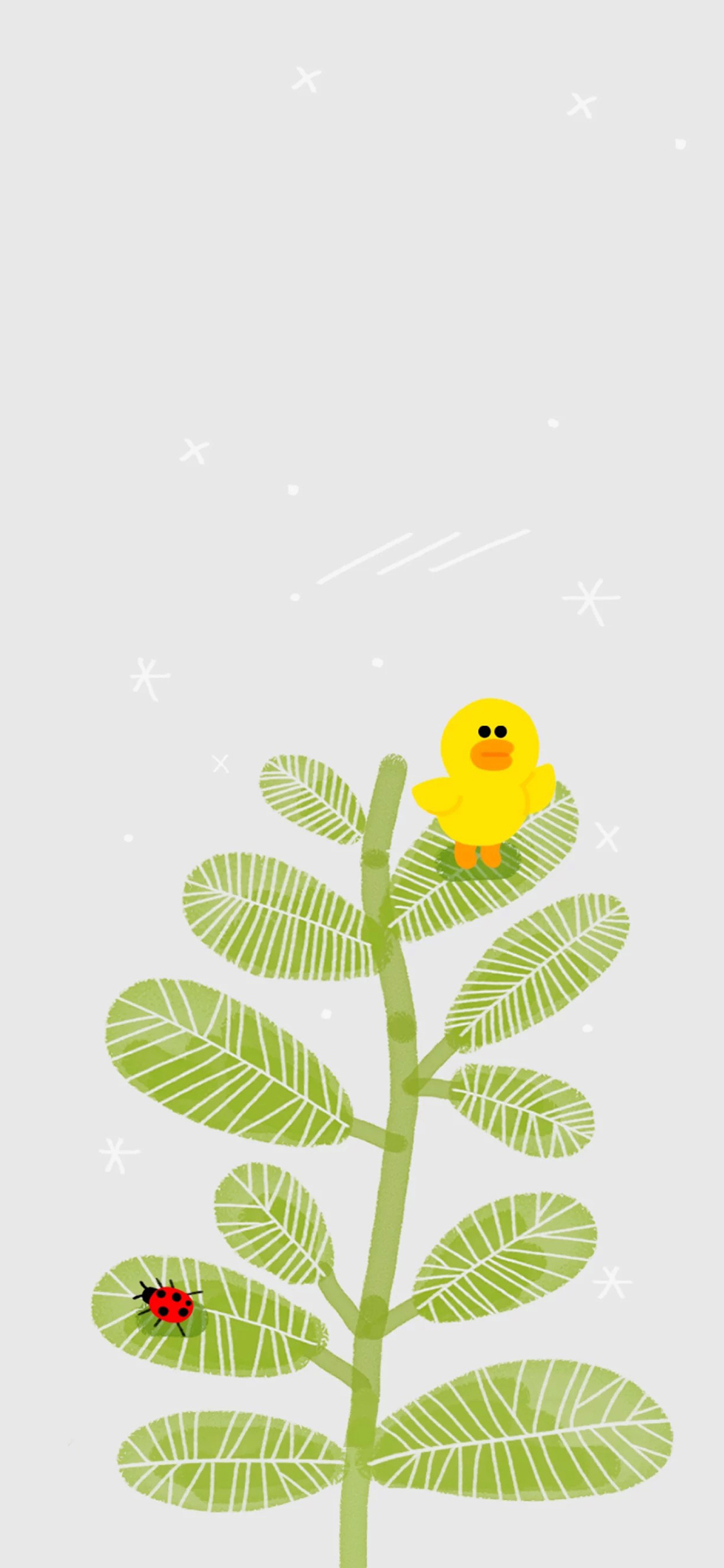 [2436×1125]line 萨莉鸡 叶子 动画 卡通 可爱 苹果手机动漫壁纸图片