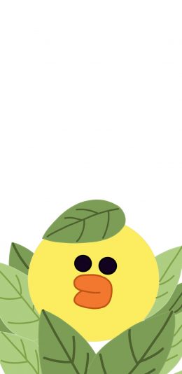 [2436x1125]linefriends 卡通 叶子 萨莉鸡 苹果手机动漫壁纸图片