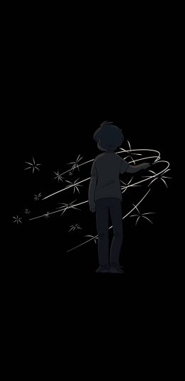 [2436x1125]mogiroba插图 男孩 背影 烟花 苹果手机动漫壁纸图片