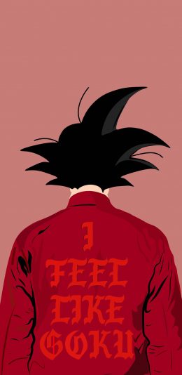 [2436x1125]七龙珠 动画 漫画 红色 背影 苹果手机动漫壁纸图片