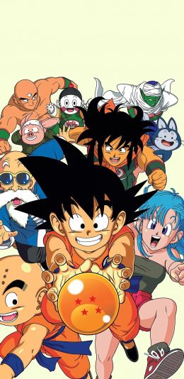 [2436x1125]七龙珠 孙悟空 饺子 龟仙人 克林 苹果手机动漫壁纸图片