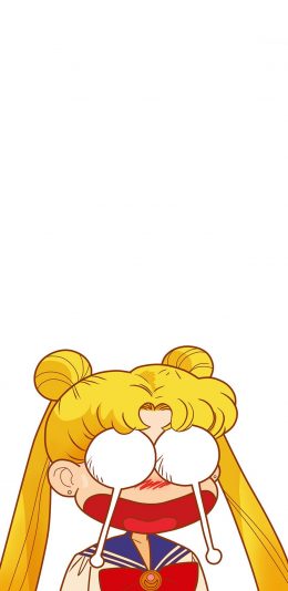 [2436x1125]个性 动漫 美少女战士 苹果手机动漫壁纸图片