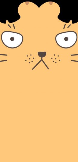 [2436x1125]中分 刘海 卡通 可爱 猫咪 喵星人 苹果手机动漫壁纸图片