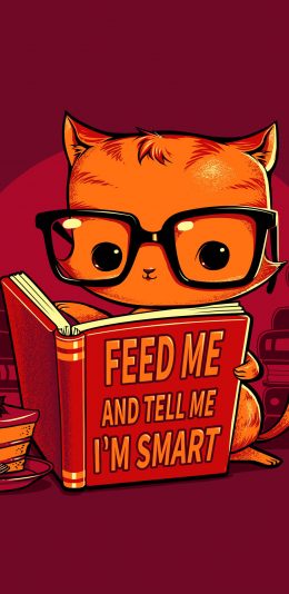 [2436x1125]书籍 猫咪 眼镜 拟人 苹果手机动漫壁纸图片