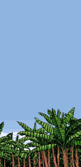 [2436x1125]像素 插图 风景 蓝天 椰树（取自微博：Wallpaper收藏家） 苹果手机动漫壁纸图片