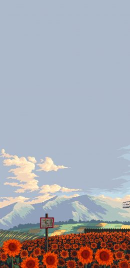 [2436x1125]像素画 花田 向日葵 风景（取自微博：Wallpaper收藏家） 苹果手机动漫壁纸图片