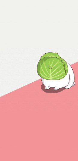 [2436x1125]兔子 包菜 结合 绘画 创意 苹果手机动漫壁纸图片