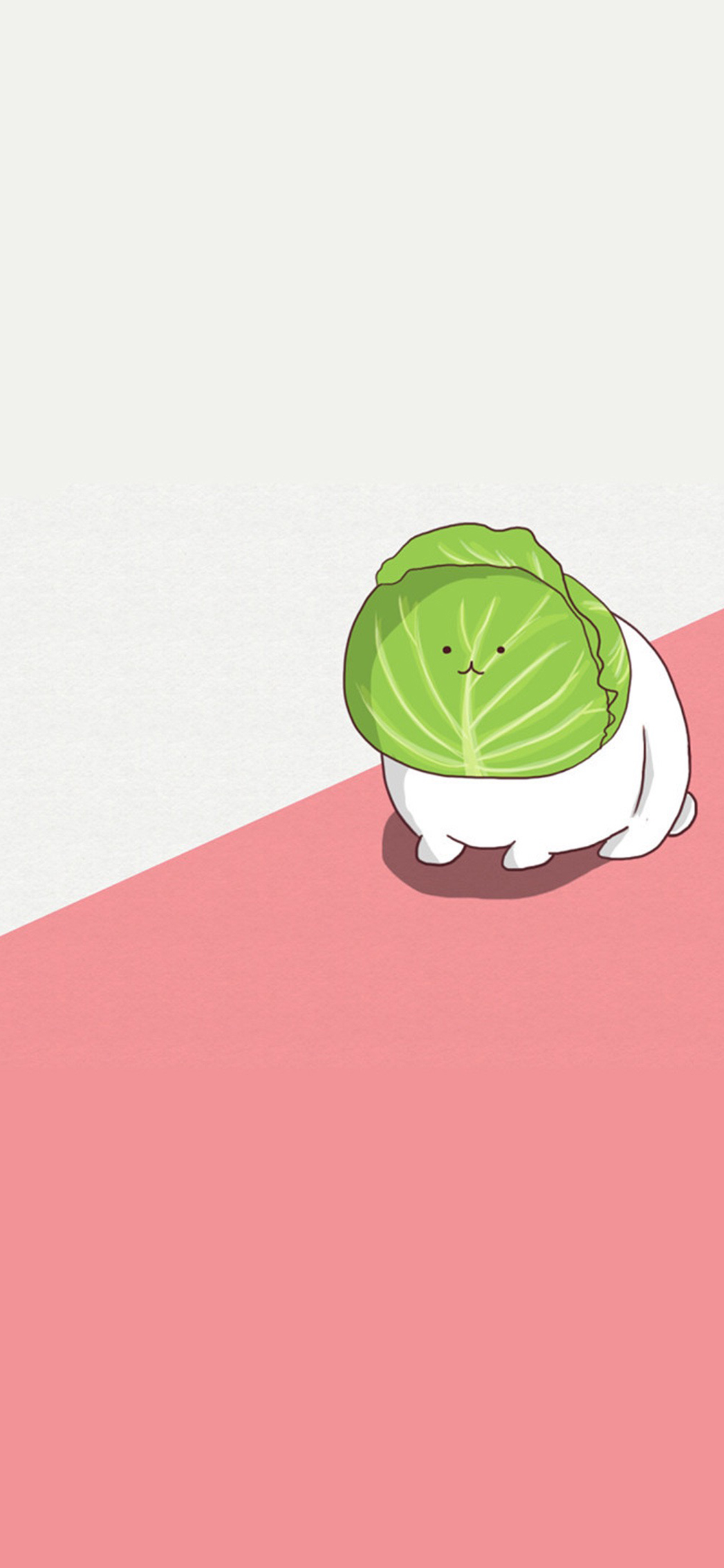 [2436×1125]兔子 包菜 结合 绘画 创意 苹果手机动漫壁纸图片