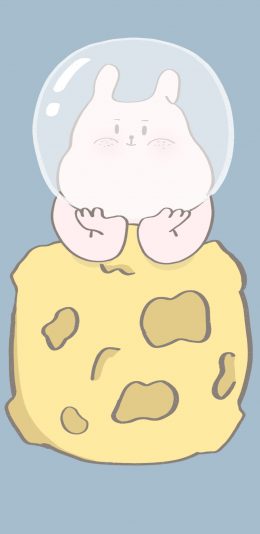 [2436x1125]兔子 卡通 宇航员 星球（取自微博：寄喜饼给你喔） 苹果手机动漫壁纸图片