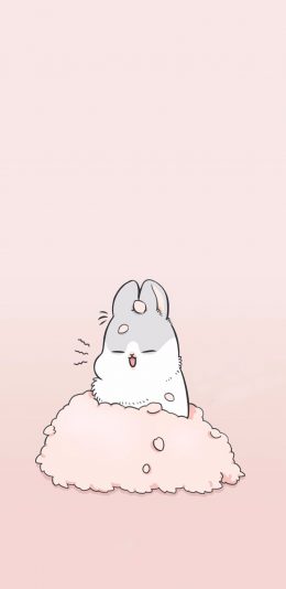 [2436x1125]兔子 卡通 萌 粉色 可爱 苹果手机动漫壁纸图片