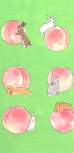 [2436x1125]兔子 插图 水蜜桃 平铺 苹果手机动漫壁纸图片