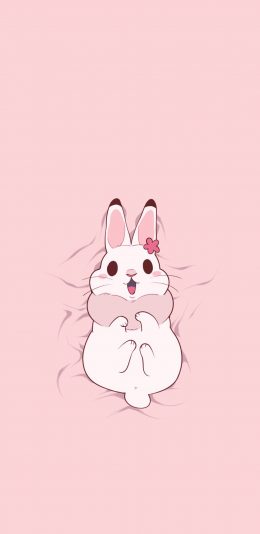 [2436x1125]兔子 粉色 可爱 萌 苹果手机动漫壁纸图片